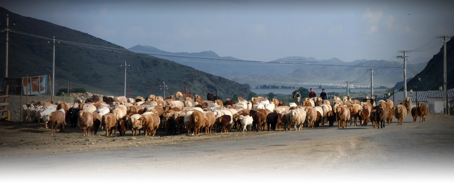 Project: Facilitating Social Economy Building in Gacha Village, Inner Mongolia, China